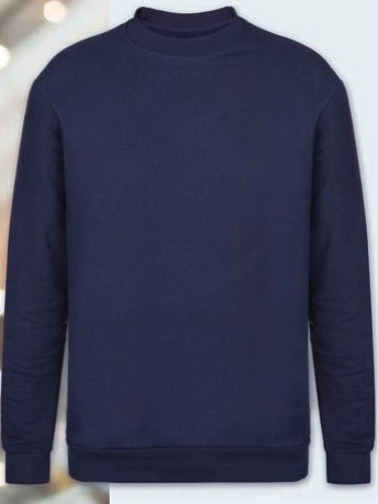 Bisiklet Yaka Sweatshirt 2 İplik Şardonlu Günlük & İş